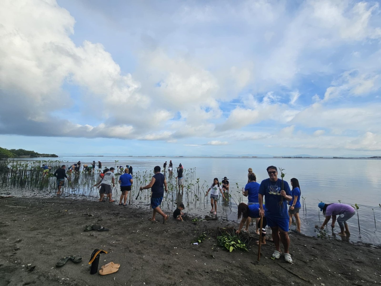 Treeplanting and Concert for a Cause
